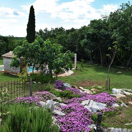 Cottage Al Merlo Olivo Buje Exterior foto