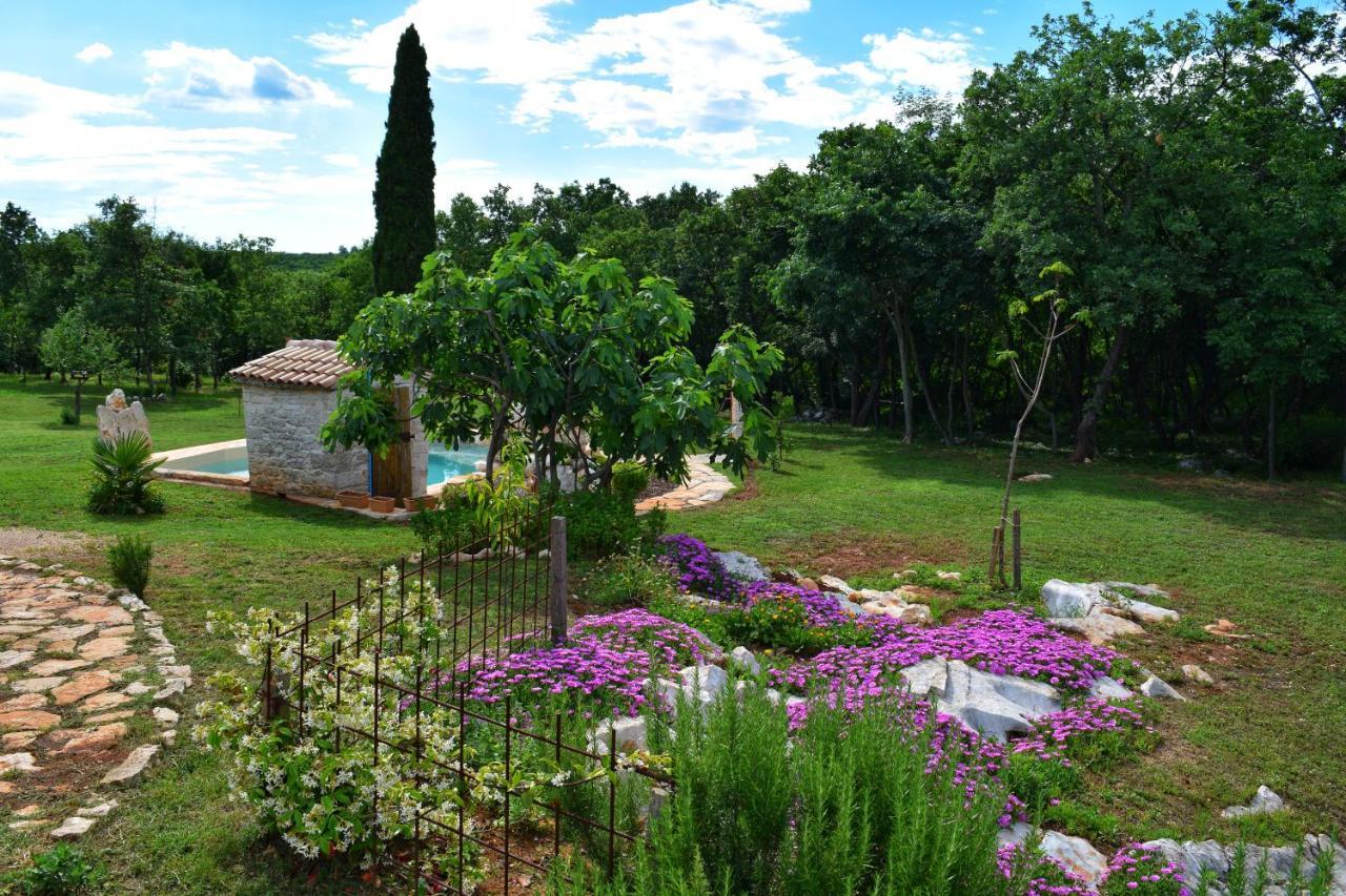 Cottage Al Merlo Olivo Buje Exterior foto